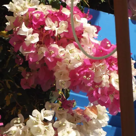 Hotel Stergia Parikia (Paros)